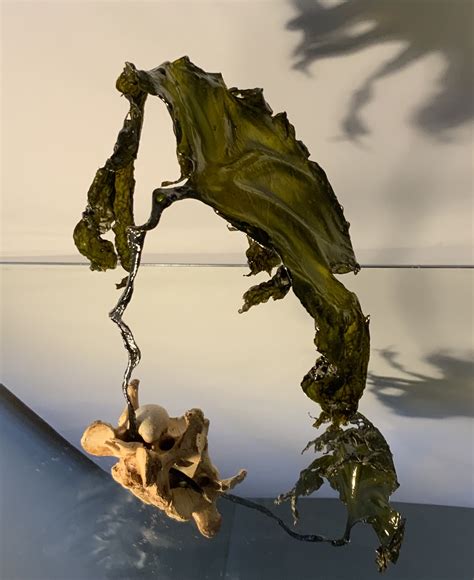 The Influence of Seaweed Statues in Maritime Communities